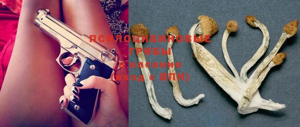 не бодяженный Белокуриха