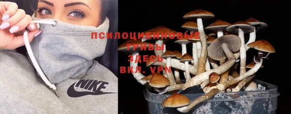 ешки Нея
