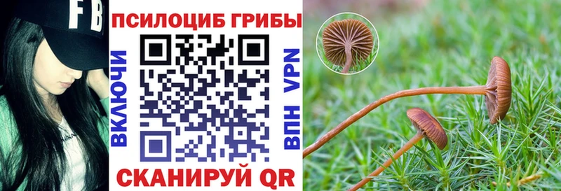 Псилоцибиновые грибы Magic Shrooms что такое наркотик Приволжский